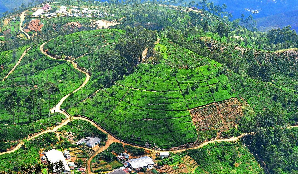 Haputale Town